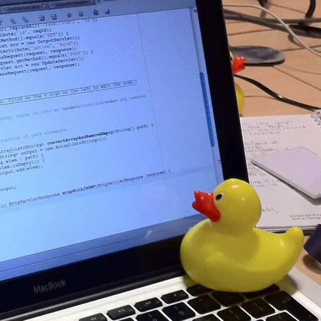 Improve Productivity As Software Engineer with Rubber duck debugging
