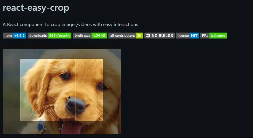 Screenshot of React component react-easy-crop GitHub project taken by pauls dev blog