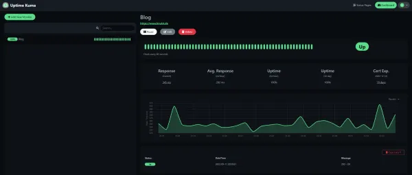 Dashboard overview in Uptime Kuma after deploying it with Docker and Traefik to monitor a website